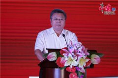 2016年全球销量跨越500